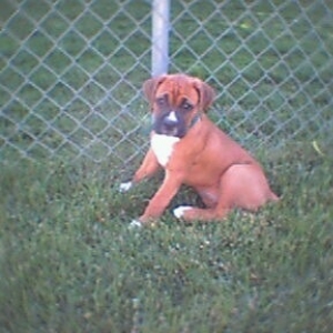Jaz 9 weeks