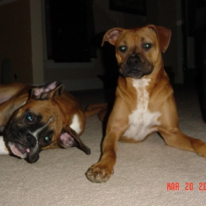 Bub & Har
