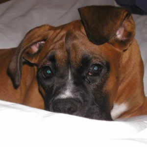 Is it time to get up already?!
