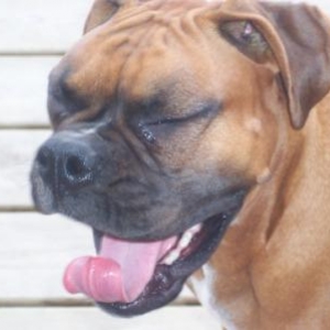 "The Yawn"