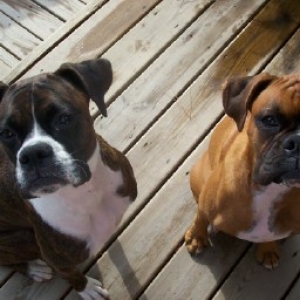 Beautiful Girls
