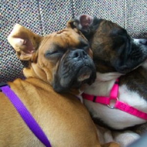"Lean on me"