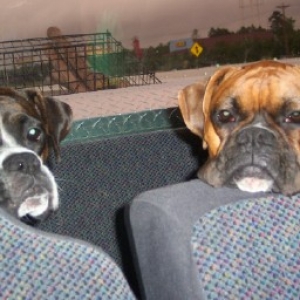 "Are we there yet?"