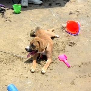 building sand castles