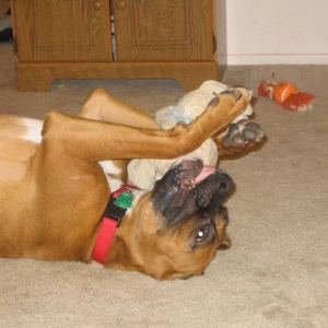 Now I lay me down to sleep...