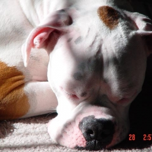 soo sweet
