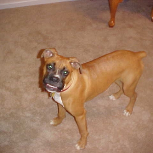 Smile