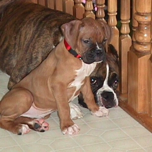 Molly and Tucker