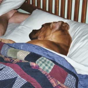 Male_Bonding