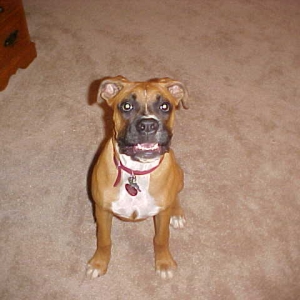 Hurry Momma, I can only smile for a minute.