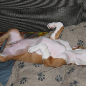 Owen sleeping