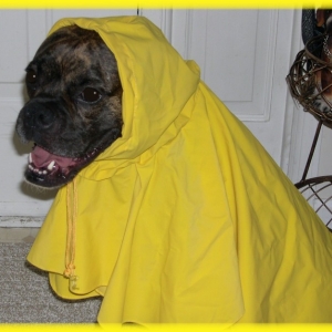 RAINY DAY!