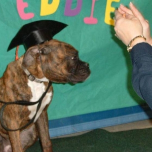 eddie