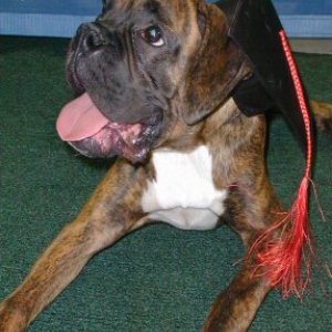 Eddie_-_031804
