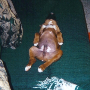 Out Cold