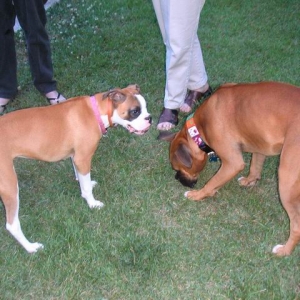 Brady & Lily