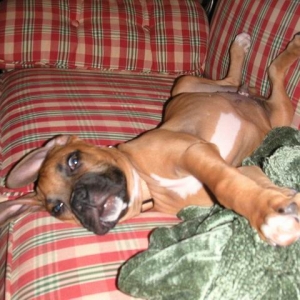 Yep, I'm comfy!