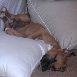 This is the life!