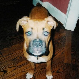 My Zehen baby!