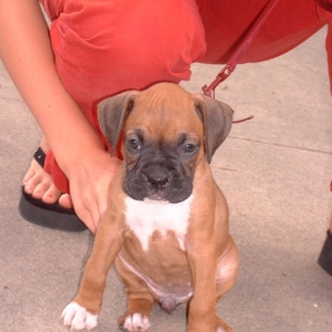 Adrian 6 wks. old