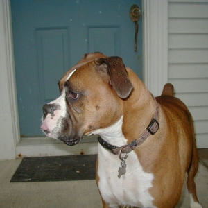Akswell age 5