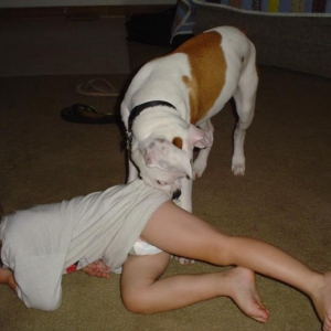 Get her Rex!!!