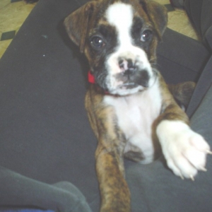sitting in my lap..