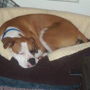 Shadow in her Bed