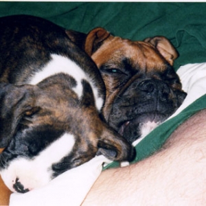 Snubble buddies