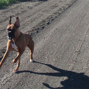 Your running the wrong way!
