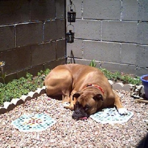 Making Mommy Feel Guilty by Laying in Rocks!