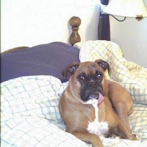 I just let mommy think it's her bed