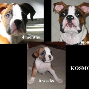 My how you have grown!