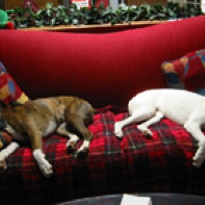 Mona and Lola