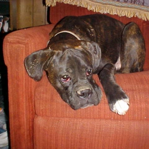 Hard day at play