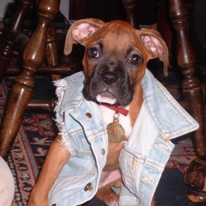 Adrian around 3 or 4 months?