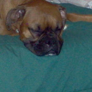Sleepy Girl
