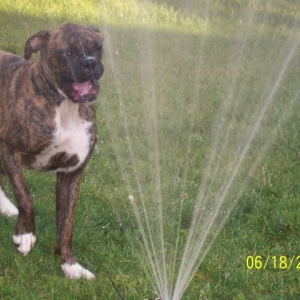Cooling down