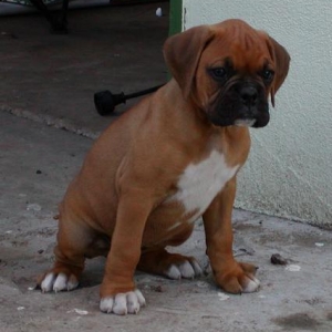 Baby Maya