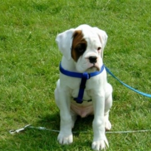 Sam at 12 weeks