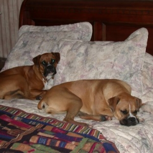 Extra Bedroom that is for us?