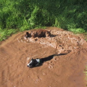 Liquid Mud