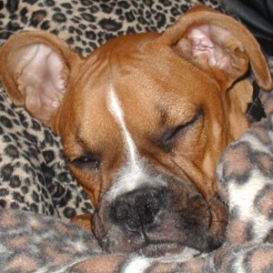 My Baby Sleeping.......