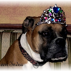 HAIL TO THE QUEEN!