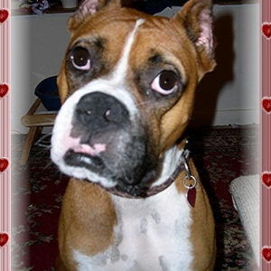 i love you!