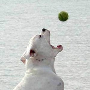 I'll get it!!!!