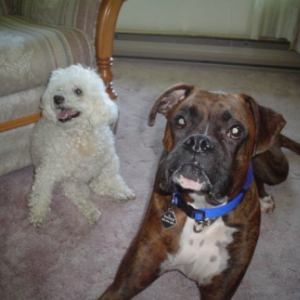 Tanner and Mandy