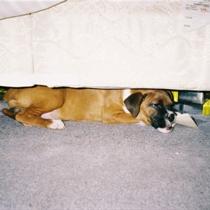 Sneaky Girl