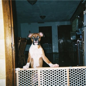 Always Misbehaving