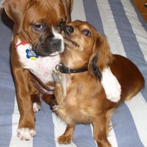 Zoey and her Big Brother Stinky